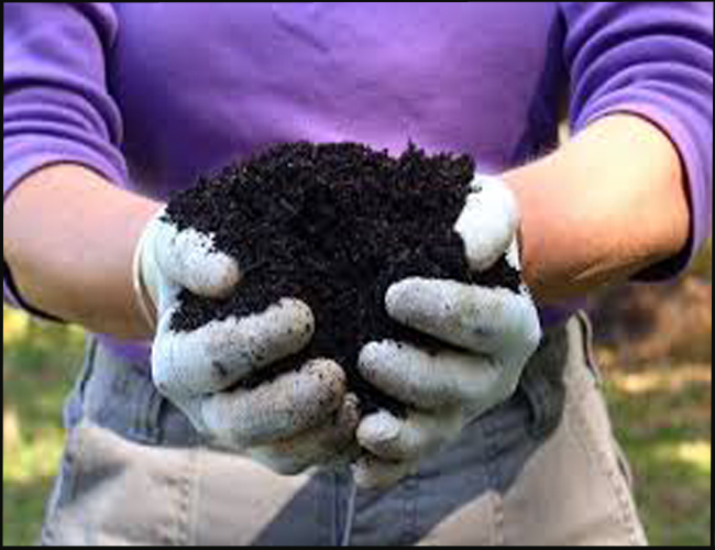 Image of compost 4.jpg