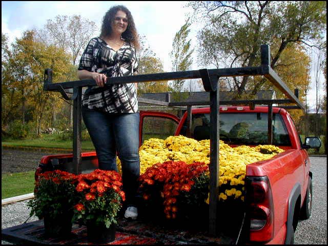 Image of mums 21.jpg