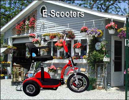 Image of terminator ggs web 2.jpg